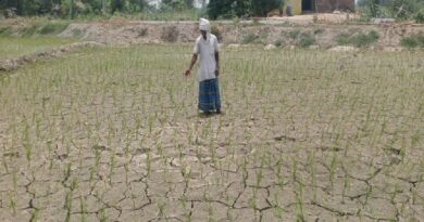 farmer