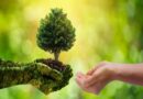 World Environment Day
