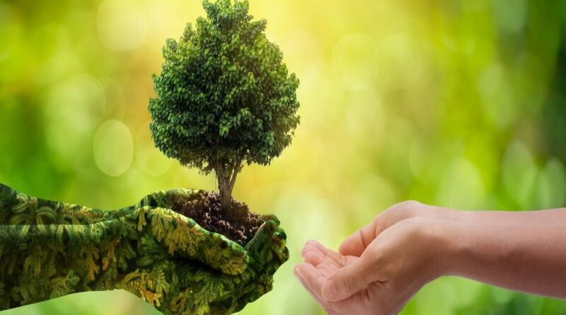 World Environment Day