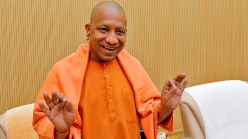 yogi