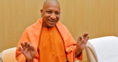 yogi