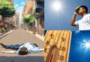 What temperature range can humans survive in