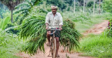 Pradhan Mantri Krishi Sinchai Yojana (PMKSY)