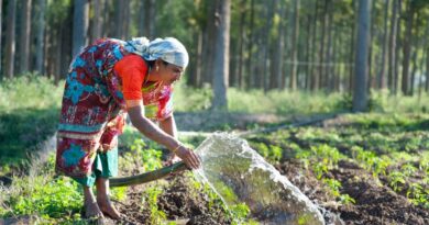 organic farming
