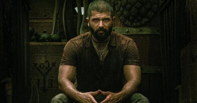 Kingdom Movie Reviews