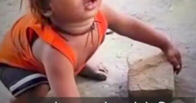 snake and human relationship