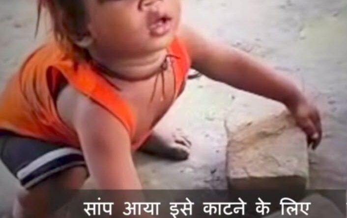 snake and human relationship