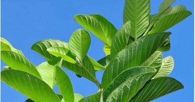 diabetes control tips