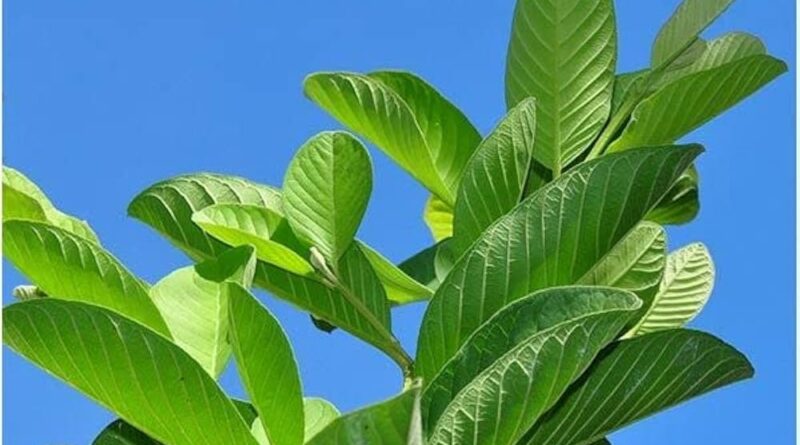 diabetes control tips