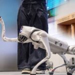 नकल के लिए भी अकल चाहिए: जानें कैसे चीनी कुत्ते ने खोल दी गलगोटिया यूनिवर्सिटी की पोल गलगोटिया यूनिवर्सिटी