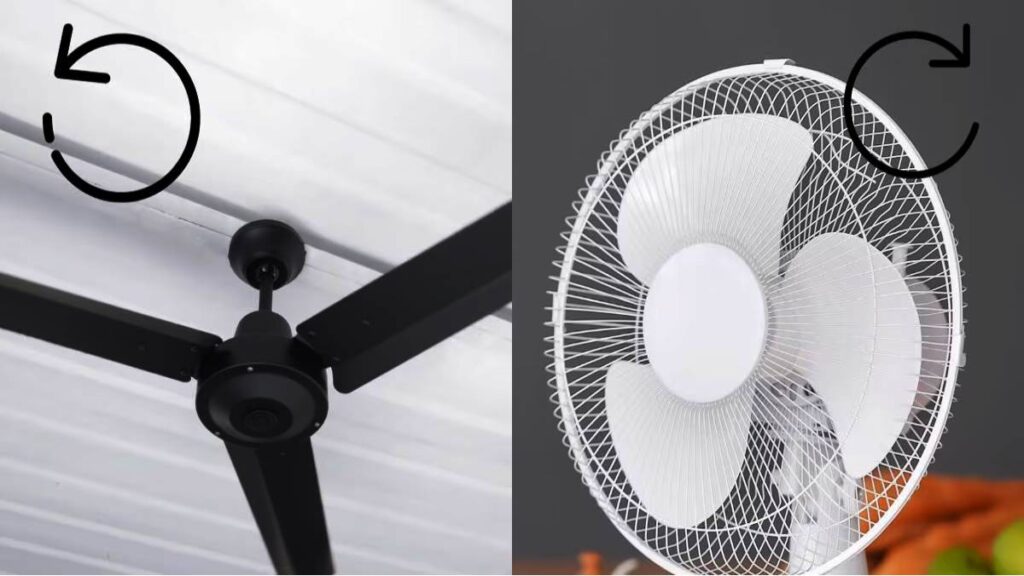Table Fan Vs Ceiling Fan