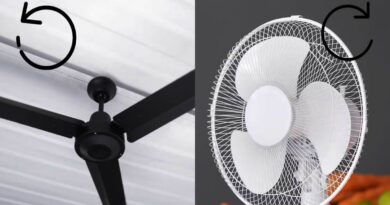 Table Fan Vs Ceiling Fan