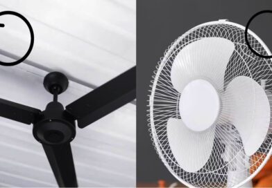 Table Fan Vs Ceiling Fan: जानें कौन सा पंखा है बिजली बचाने में नंबर वन Table Fan Vs Ceiling Fan