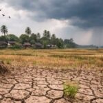 Monsoon Forecast 2026