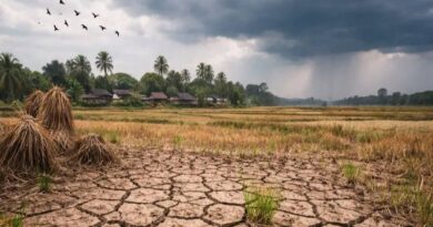 Monsoon Forecast 2026