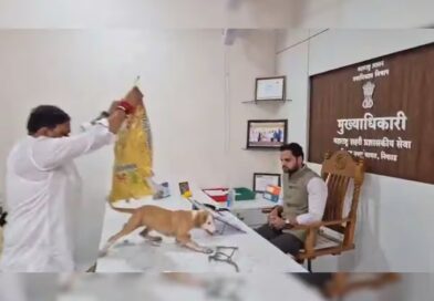 आवारा कुत्तों के आतंक पर अनोखा विरोध: अफसर की टेबल पर कुत्तों के पिल्ले रखकर पूछा- अब तो पकड़ोगे!