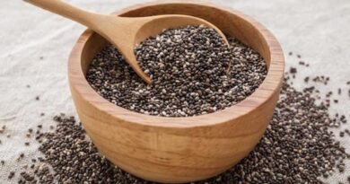 chia seeds benefits in hindi