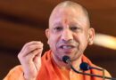 Cm yogi